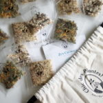 Chic des Plantes - Om chic Om - Hypiness